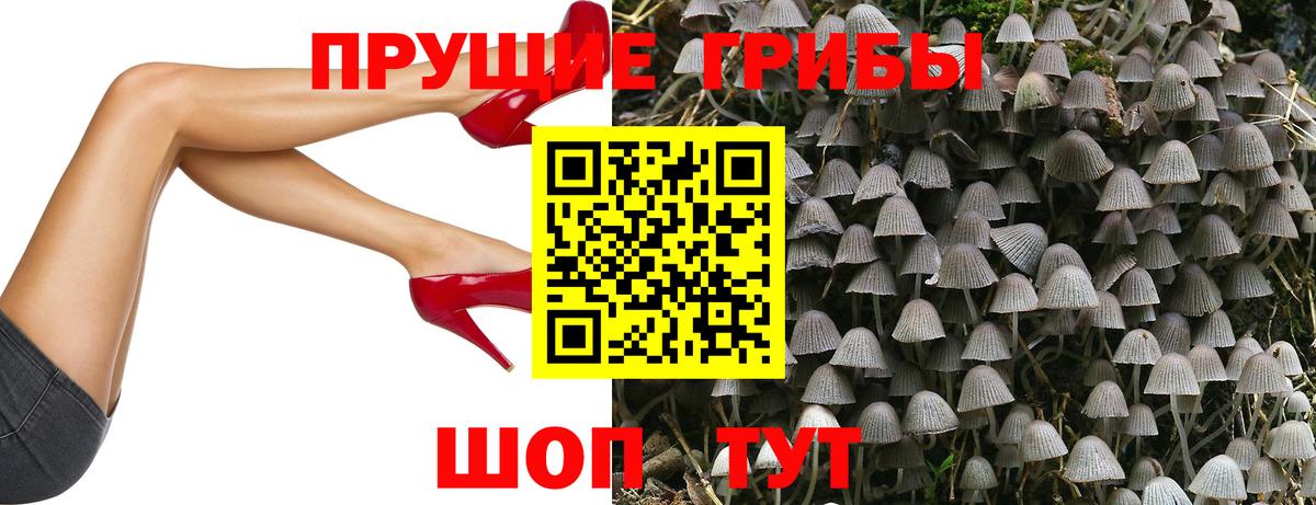Астрахань  Псилоцибиновые грибы мицелий  Вход с VPN 